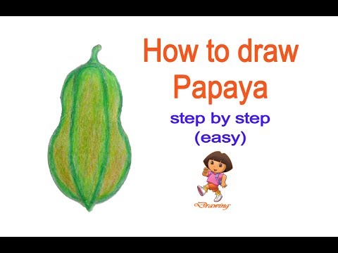 480x360 How To Draw Papaya Step By Step (Easy)