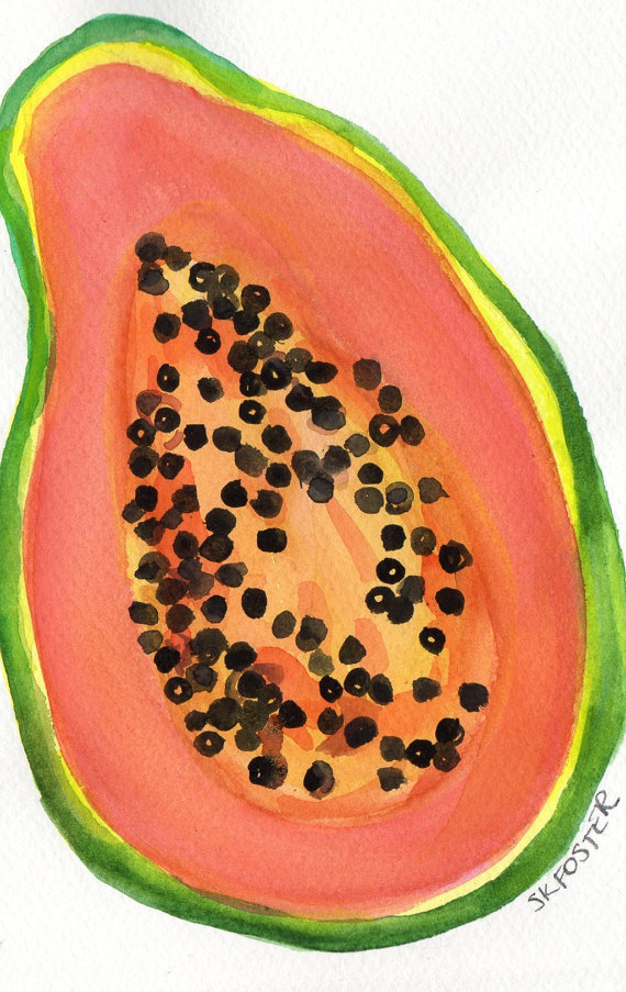 570x903 Papaya Painting, Original Watercolor Painting Fruit Series, Great