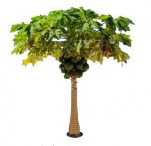 300x289 Sketchup Plants, Trees, And Shrubs Archive