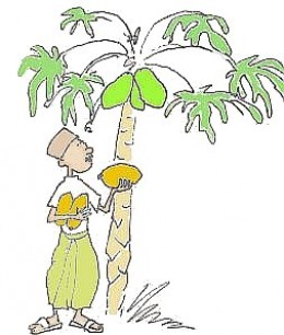 260x306 The Legend Of Papaya Hubpages