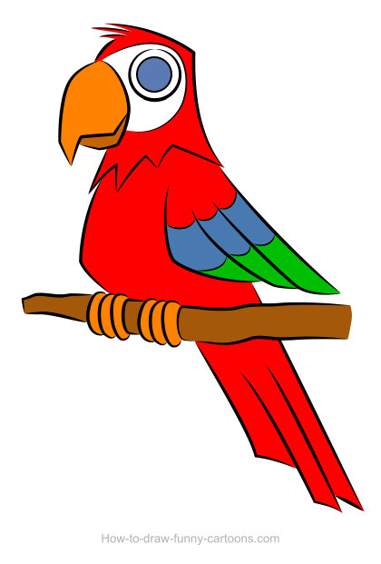 420x621 Parrot Drawing (Sketching + Vector)