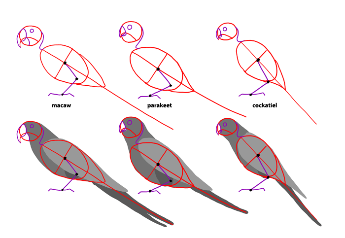 700x483 How To Draw Birds Step By Step Instructions