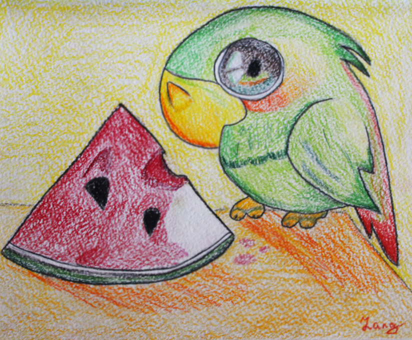 824x680 Amazon Parrot. Birds. Drawings. Pictures. Drawings Ideas For Kids