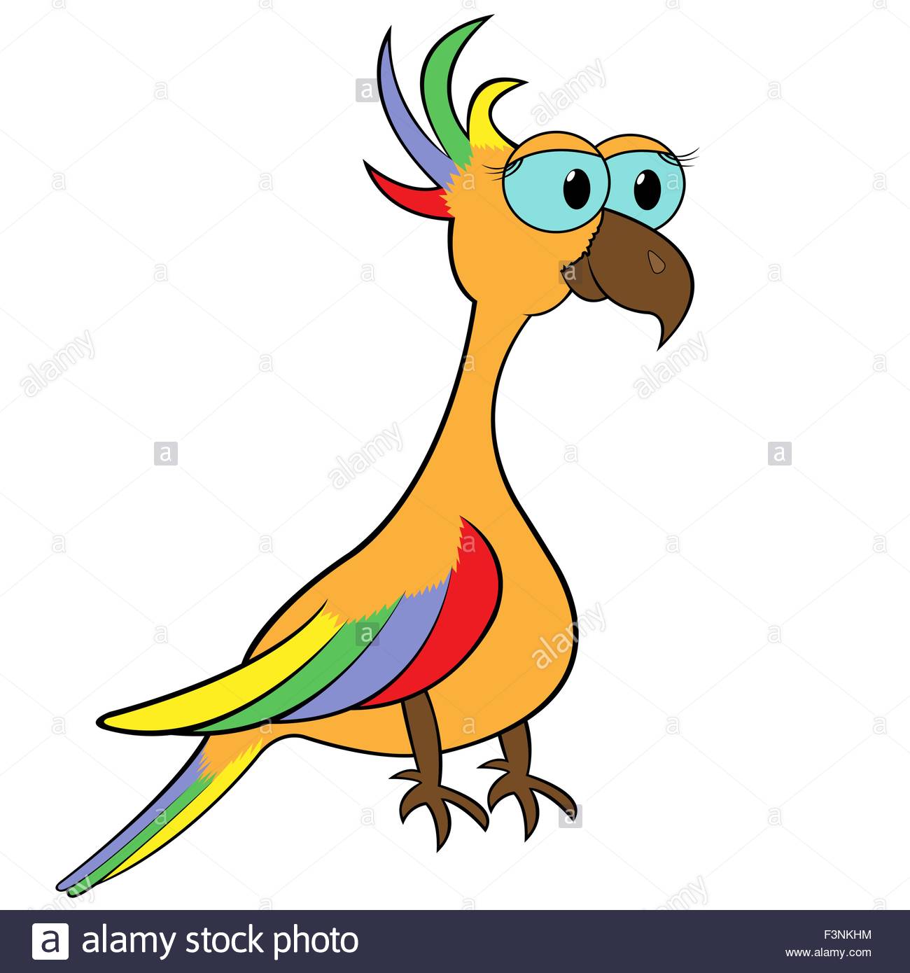 1300x1390 Colourful Parrot Isolated On White Background. Hand Drawing