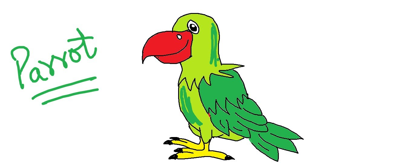 1359x540 Easy Kids Drawing Lessonshow To Draw A Cartoon Parrot