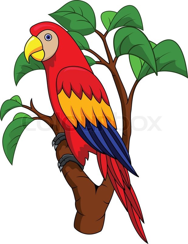 619x800 Funnny Parrot Cartoon Stock Vector Colourbox