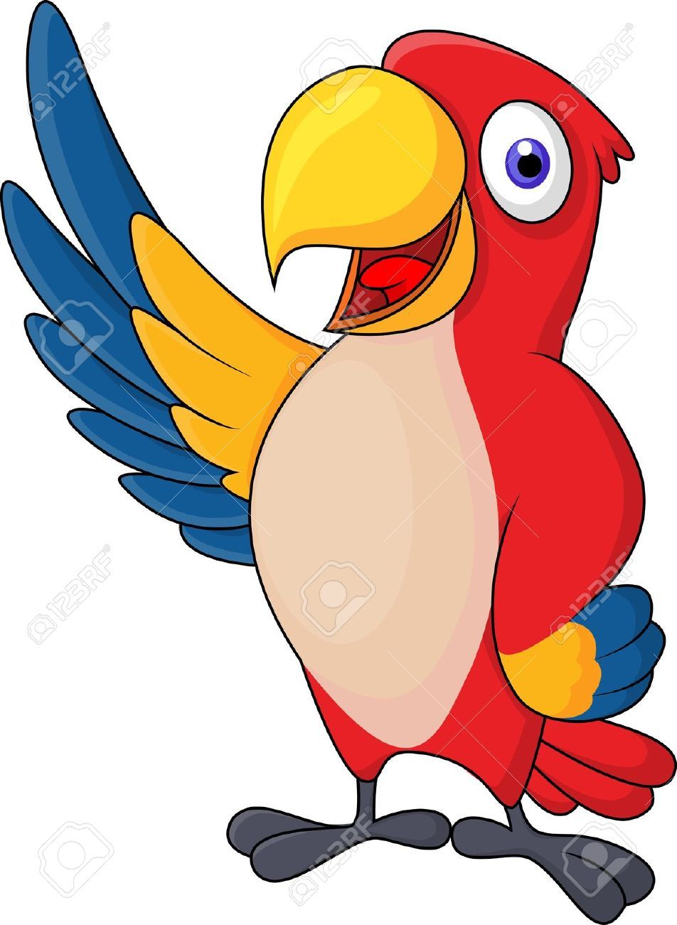 952x1300 Cartoon Parrot