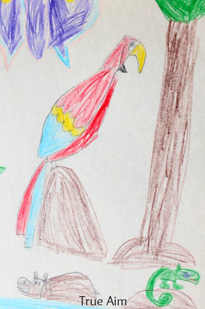 400x601 Art For Kids How To Draw A Parrot True Aim
