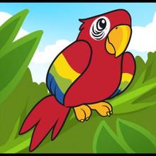 220x220 How To Draw How To Draw A Parrot For Kids