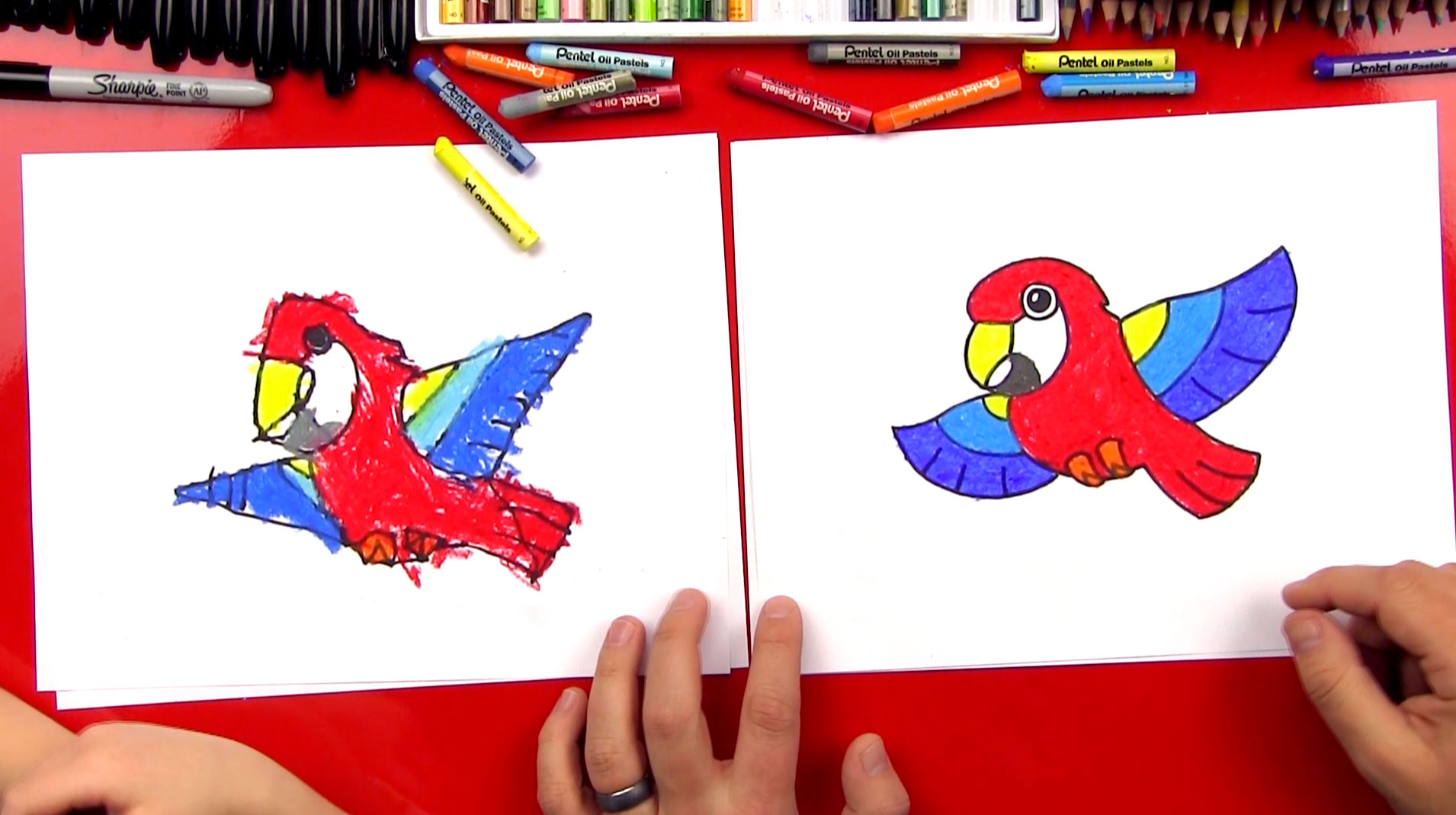 1910x1069 How To Draw A Cartoon Parrot