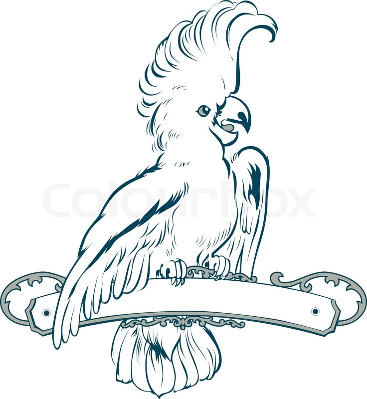 736x800 Vector Parrot Emblem. Easy To Edit. Stock Vector Colourbox