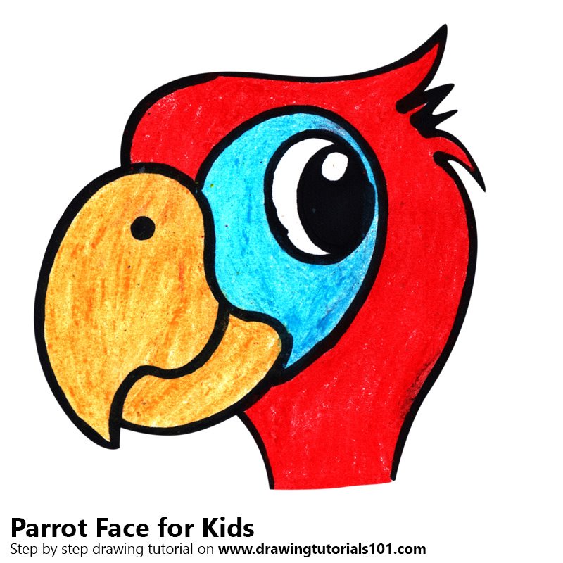 800x800 Learn How To Draw A Parrot Face For Kids (Animal Faces For Kids