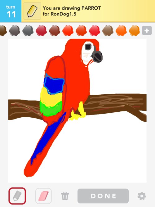 500x667 Parrot Drawings