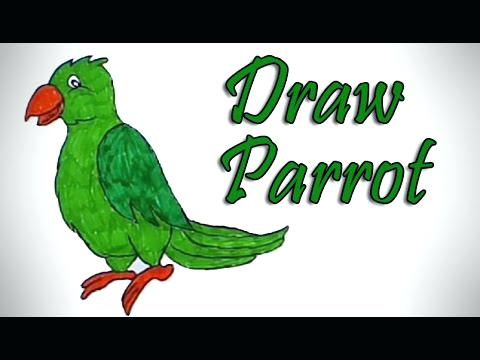 480x360 Easy Parrot Drawing Easy Parrot Drawing Step By Step