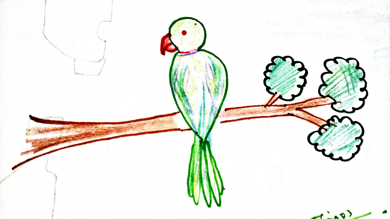 1280x720 How To Draw A Simple Parrot Bird