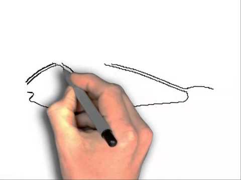 480x360 How To Draw A Parrot Fish