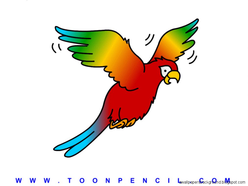 1012x758 Simple Flying Bird Drawing Wallpapers Background