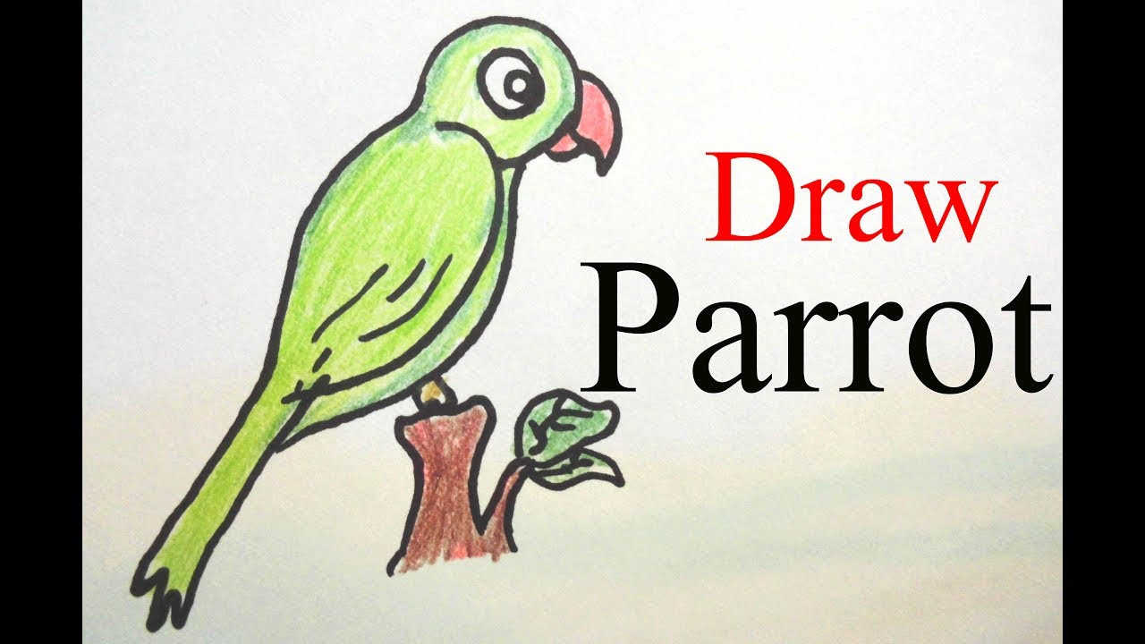 1280x720 Parrot Drawing Colorful For Easy How To Draw Parrot Color Pencil