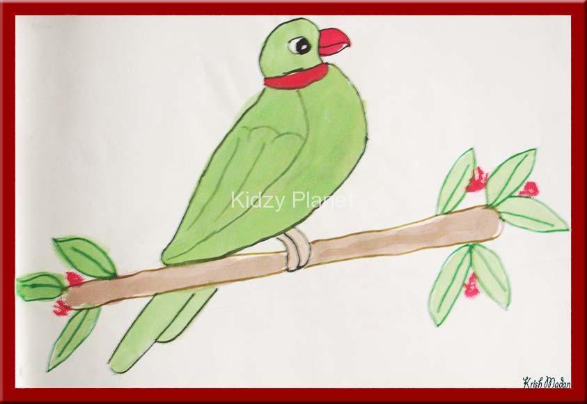 843x580 Water Color Parrot Drawing