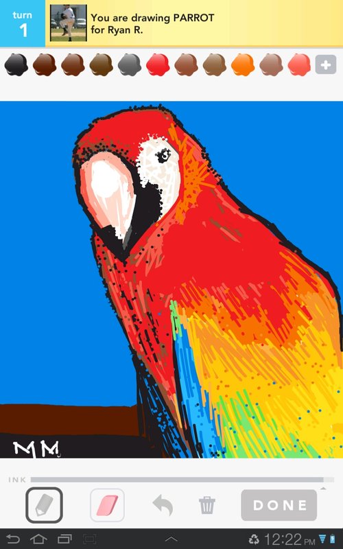 500x800 Parrot Drawings