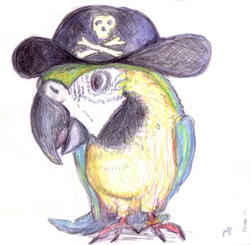 512x500 Pirate Sketch