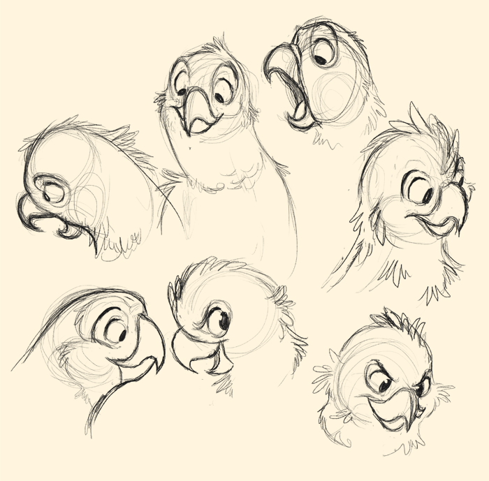 700x689 Parrot Sketches By On @