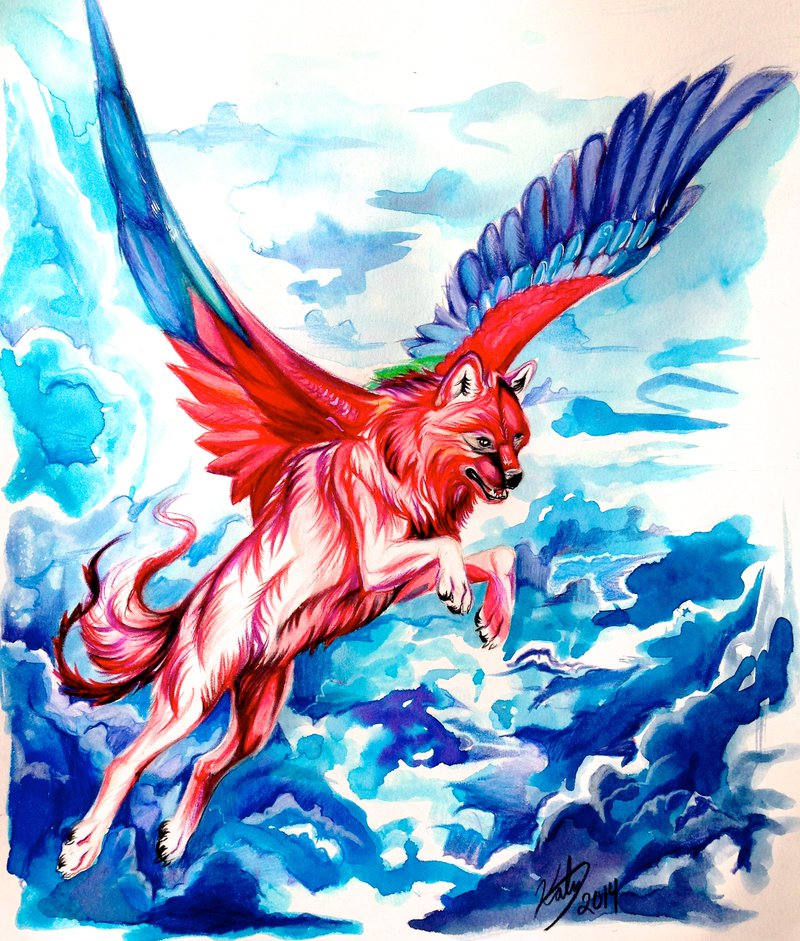 800x941 Parrot Wolf Drawing! By Lucky978