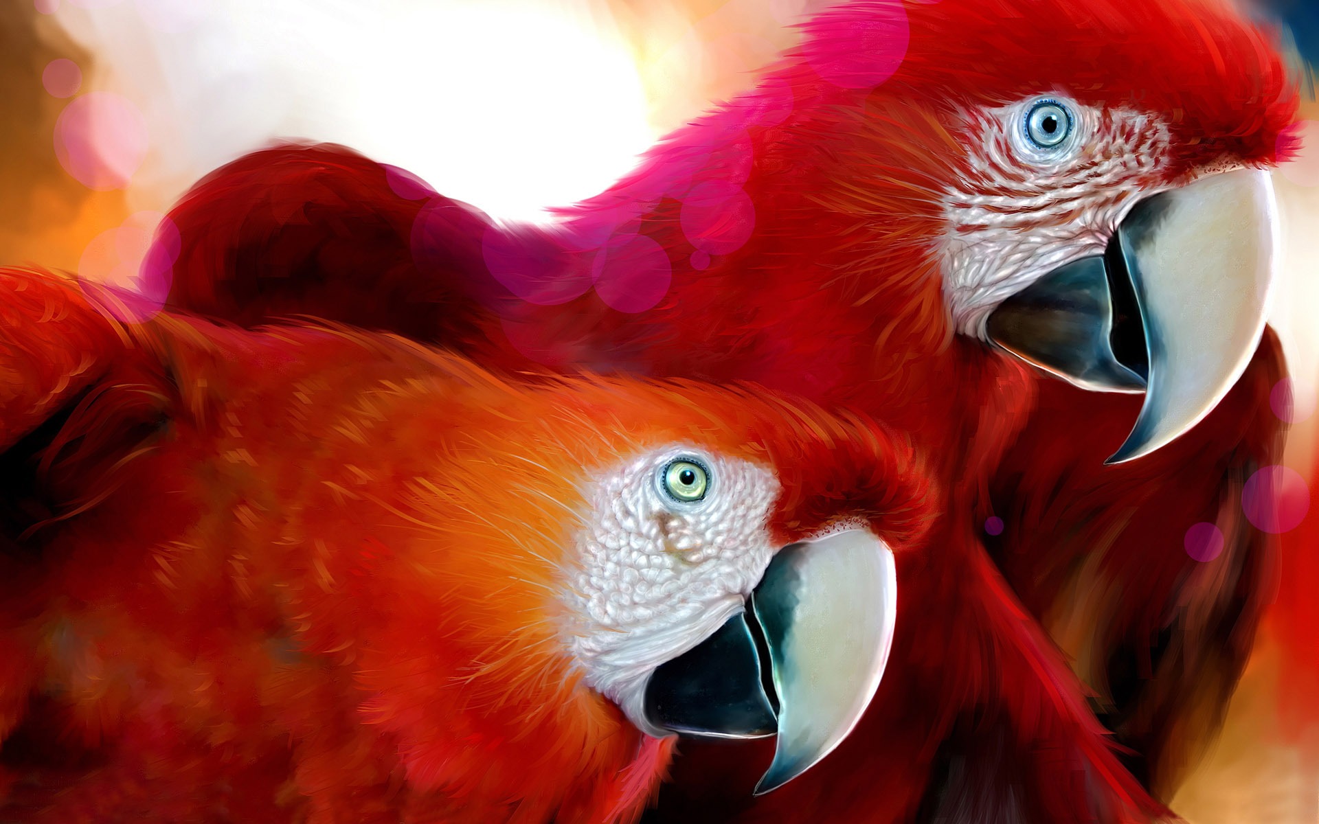 1920x1200 Parrots Drawing Wallpaper Parrots Animals Wallpapers In Jpg Format