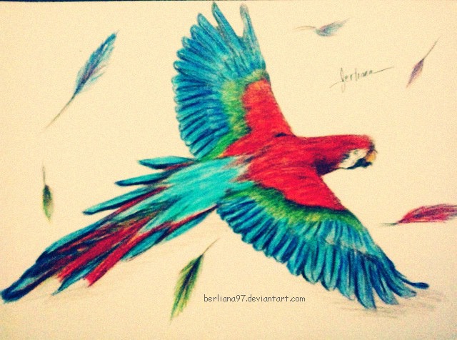 640x476 Practice Drawing Animal