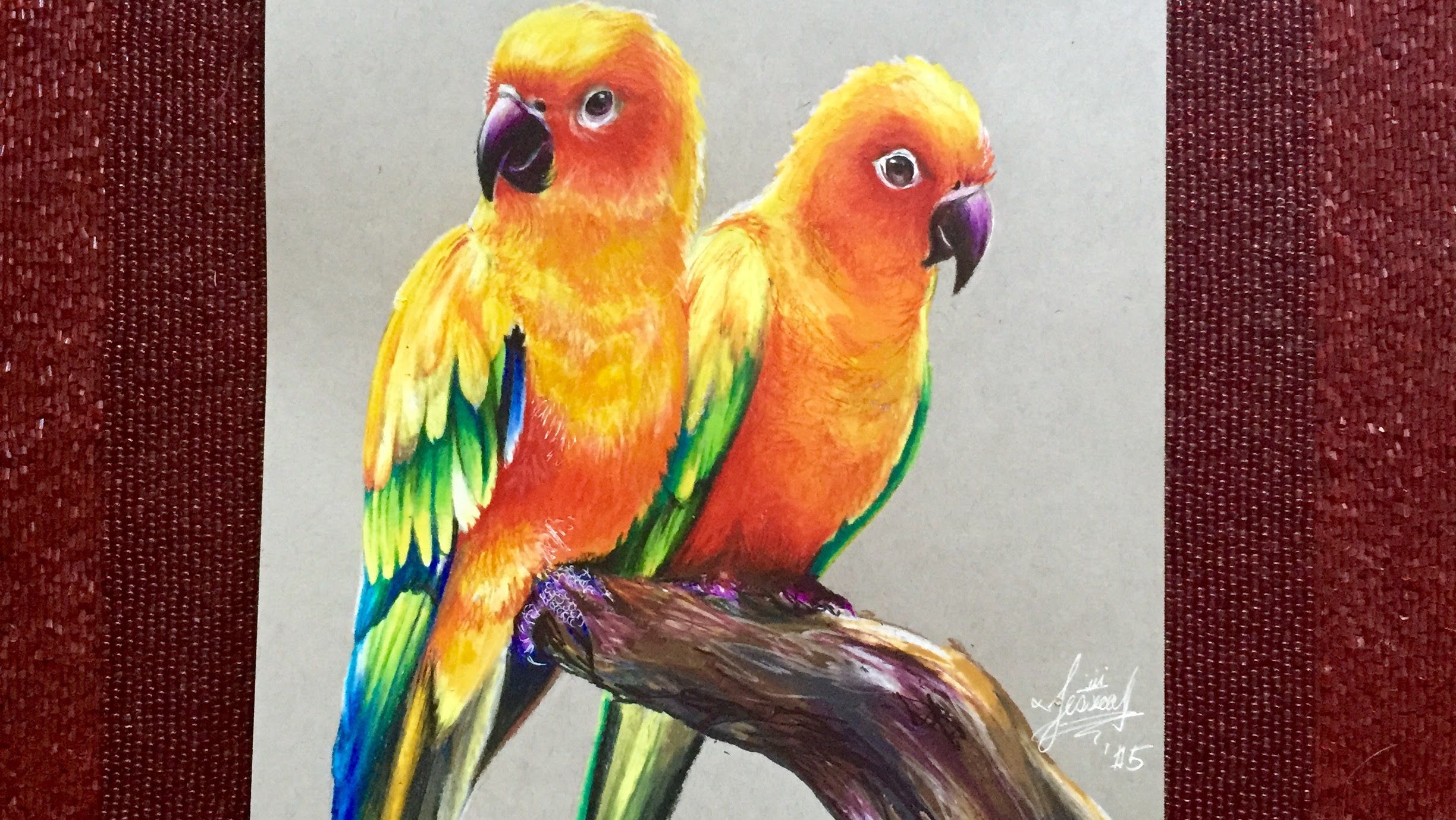 2448x1379 Realistic Drawing Of Parrots (Sun Parakeets)