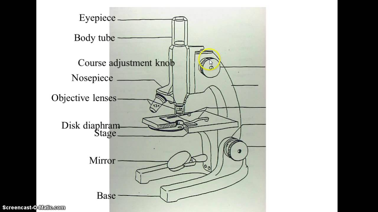 1280x720 Microscope Diagram
