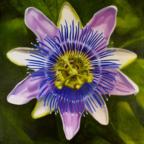 500x500 R. Garriott Fine Art Passion Flower