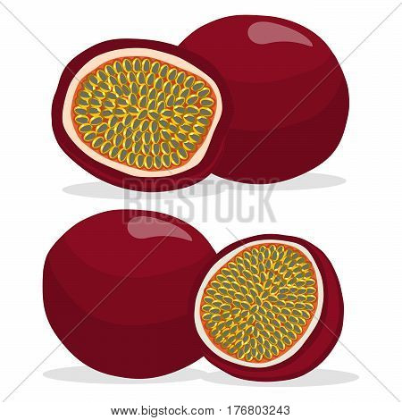 450x470 Vector Illustration Logo Whole Vector Amp Photo Bigstock