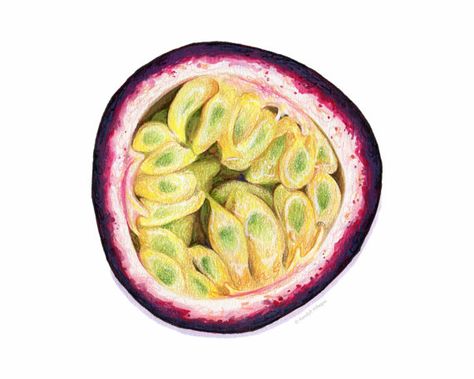 474x379 Lmfao Sunglasses