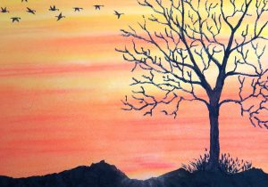 300x210 Nature Drawing With Color