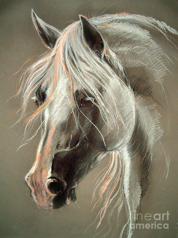 675x900 The Grey Horse Soft Pastel Drawing By Angel Ciesniarska