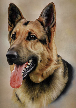 300x428 Pastel Pencil Art Techniques By Colin Bradley Learn How To Draw