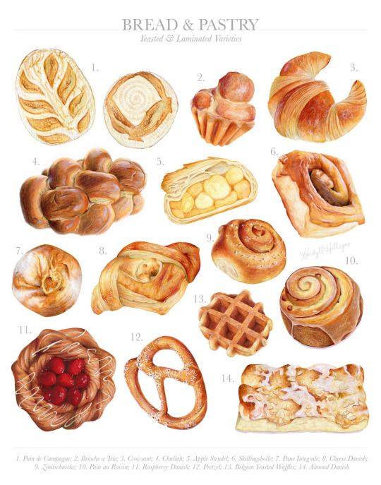 540x687 Tumblr Food Illustrations, Food
