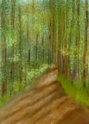 338x470 Drawing Pathway Having Fun On Ratemydrawings