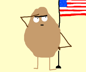 300x250 Patriot Potato