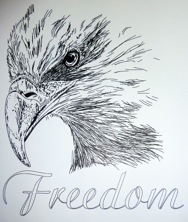 600x710 128 Best Lineart Patriotic Images On Birds, Draw