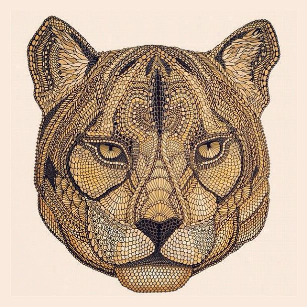 612x612 And The Last One Of Today Mountain Lion