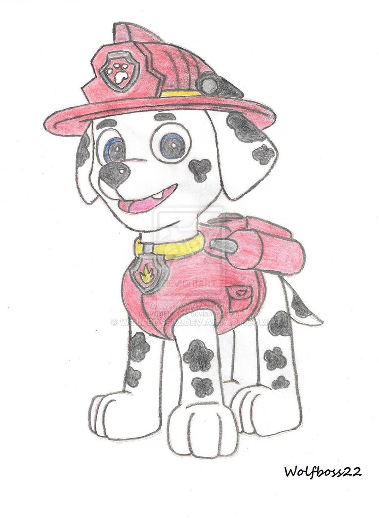 765x1044 Paw Patrol Pup Marshall By Wolfboss22