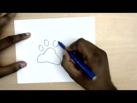 480x360 How To Draw A Paw Print