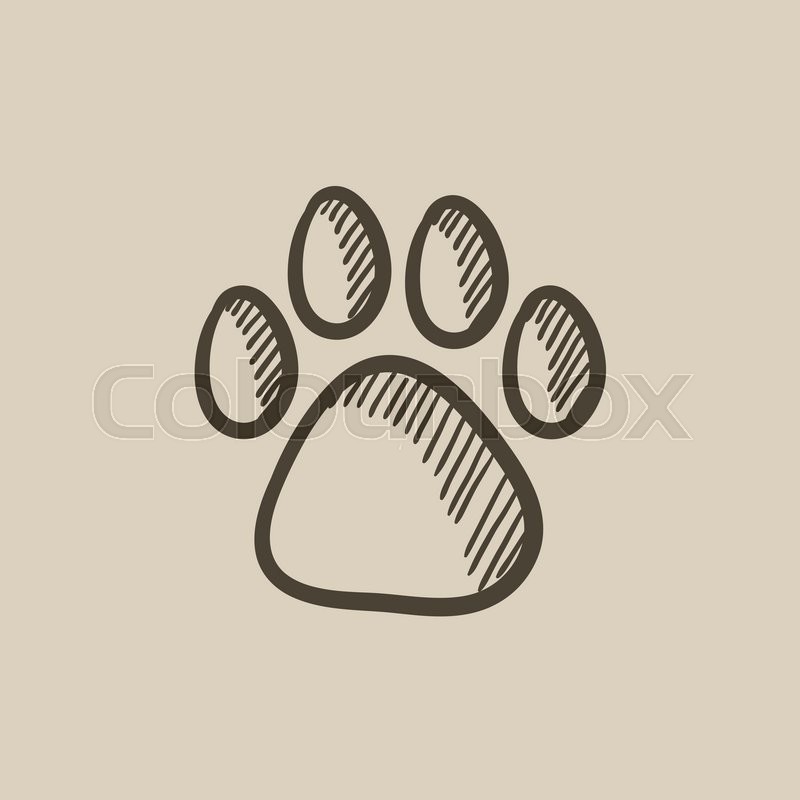 800x800 Paw Print Vector Sketch Icon Isolated On Background. Hand Drawn