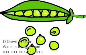 300x191 Clipart Image Of A Whimsical Drawing Of Peas In A Pod
