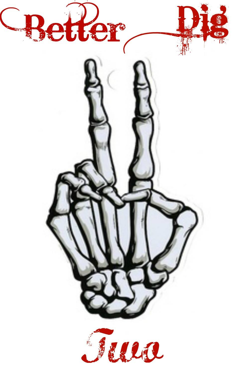 1000x1496 Better Dig Two Fav Band Ever! The Band Perry