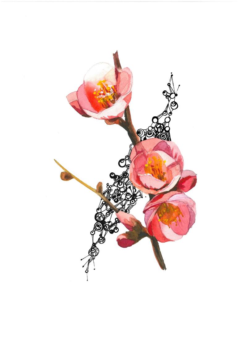 770x1089 Saatchi Art Peach Blossom Drawing By Olga Rostova