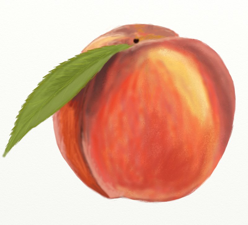 800x724 How To Draw A Peach Fruit