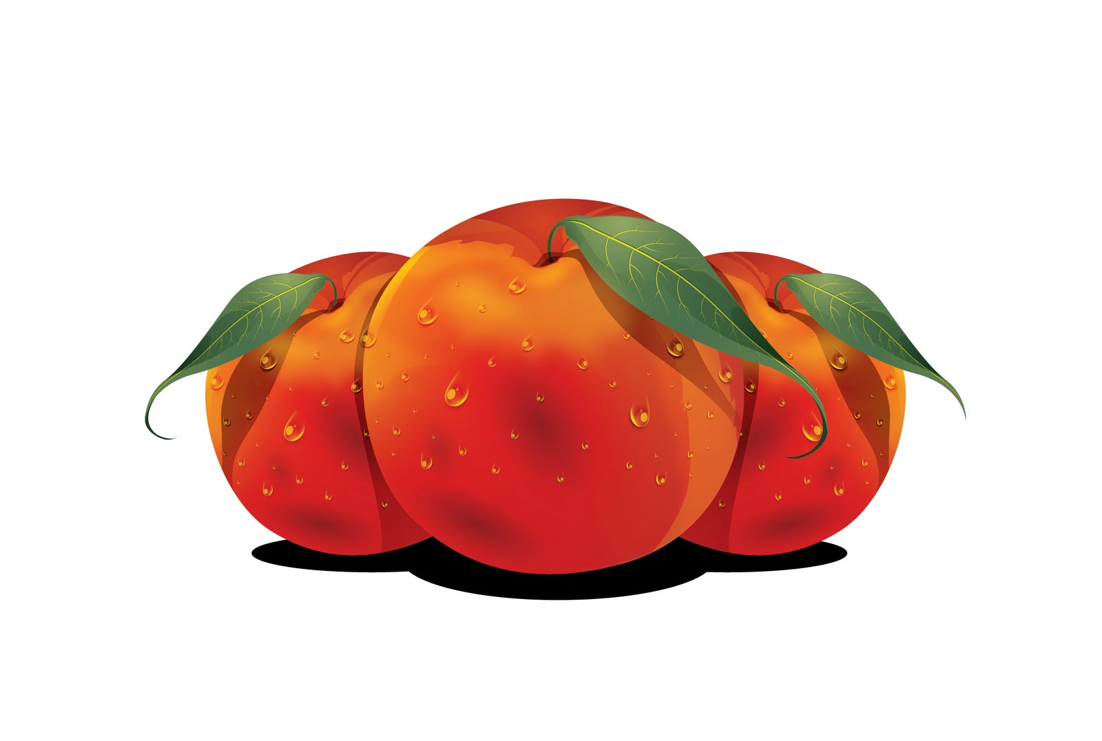 1600x1076 Peach In Vector Art Neutralart Graphic Design